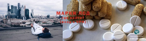 spice Богданович