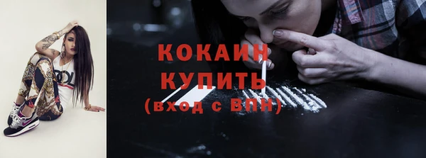 spice Богданович
