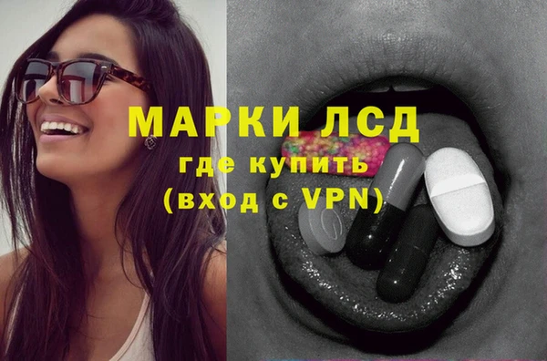 spice Богданович