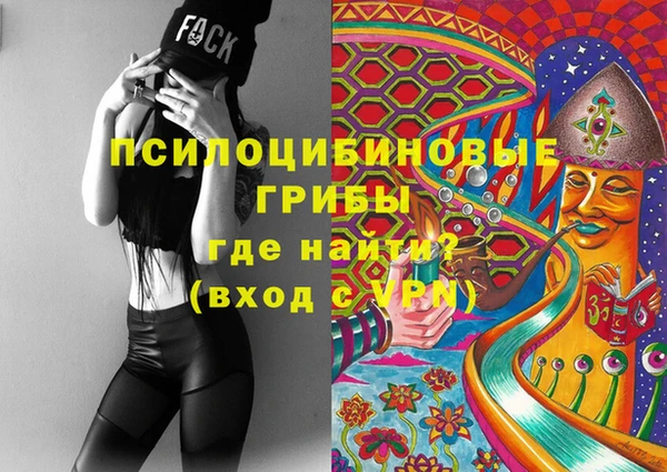 spice Богданович